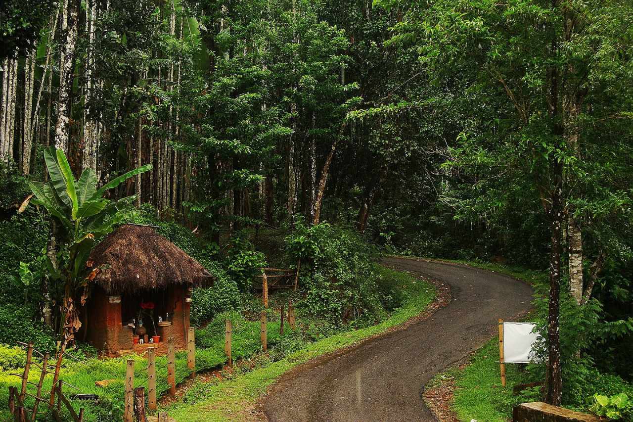 agumbe karnataka monsoon destinations