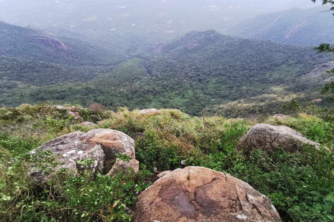 kolli hills chennai getaways twt