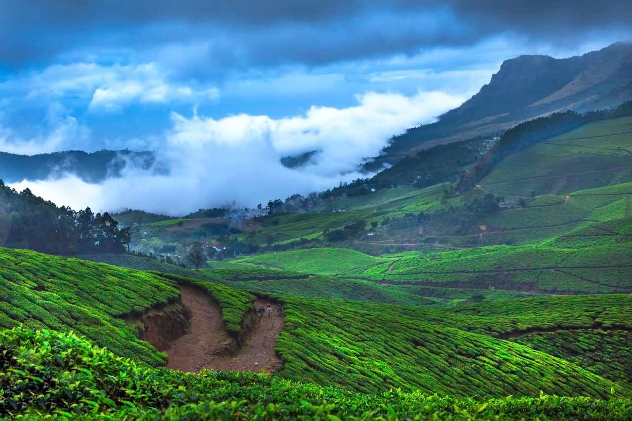 Munnar Chennai getaways twt