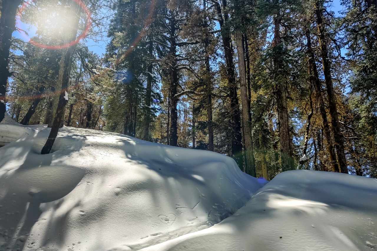 dhanaulti snowfall india