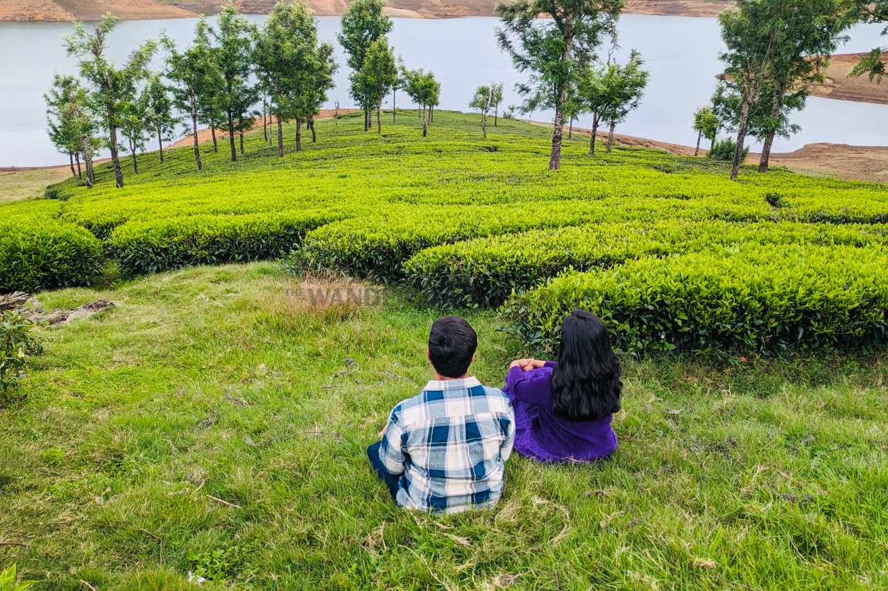 emerald by nature resorts ooty