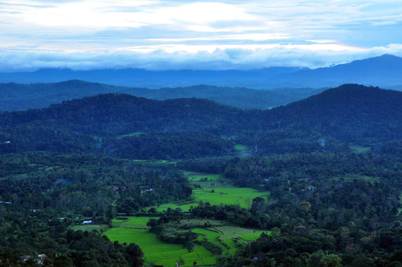 coorg