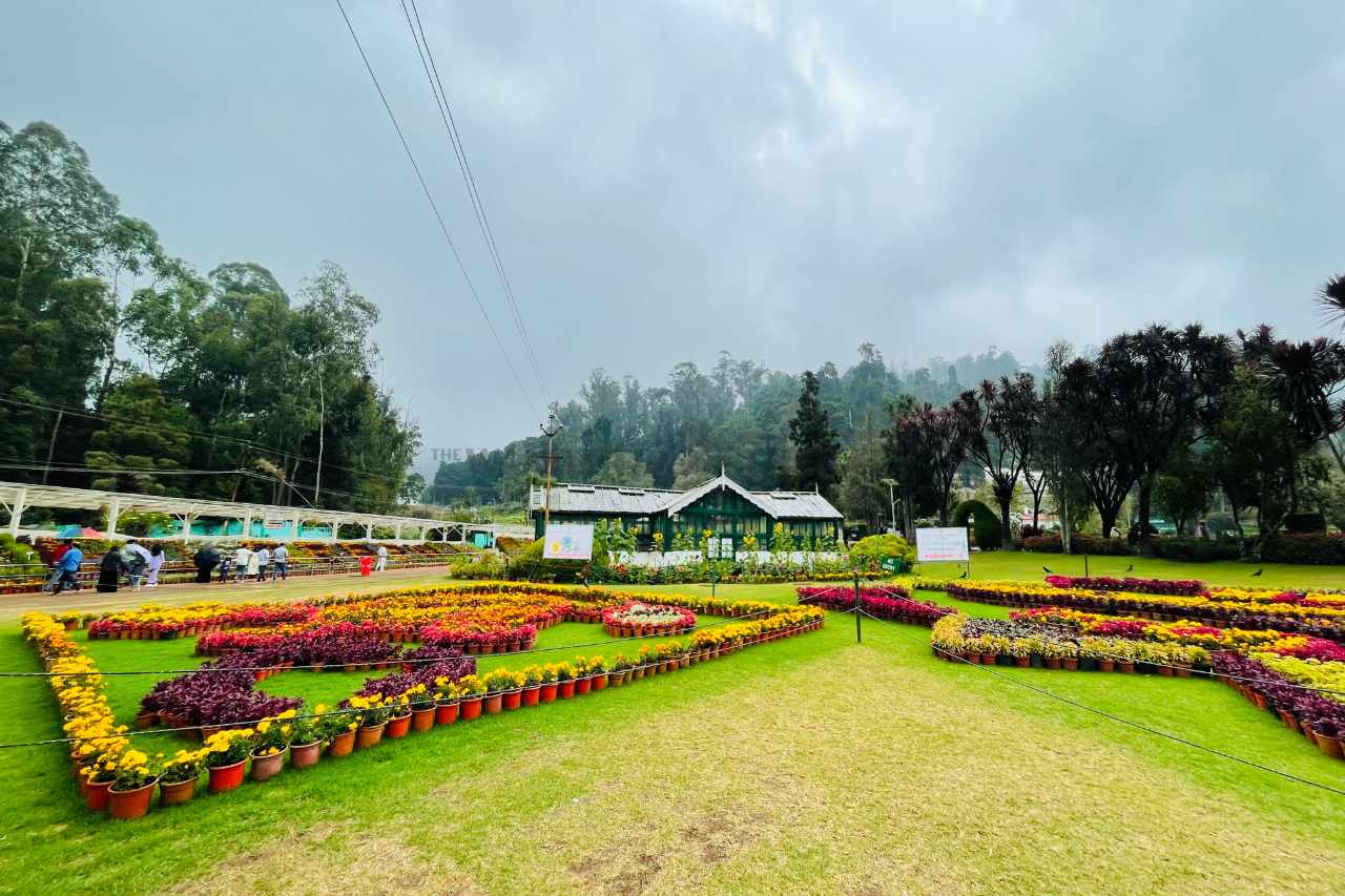 ooty government botanical garden