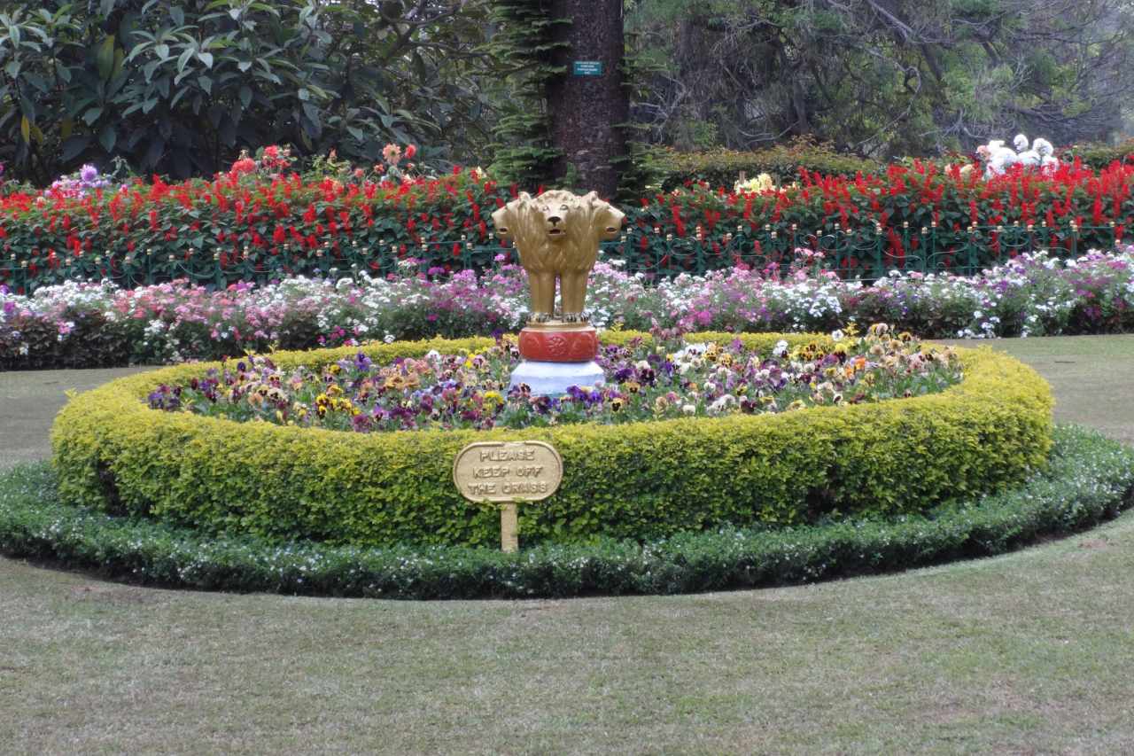 ooty rose garden