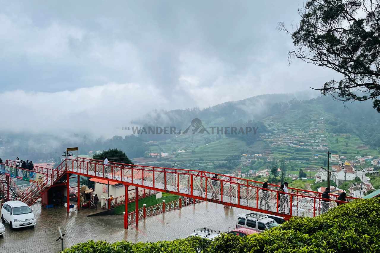 ooty tea factory