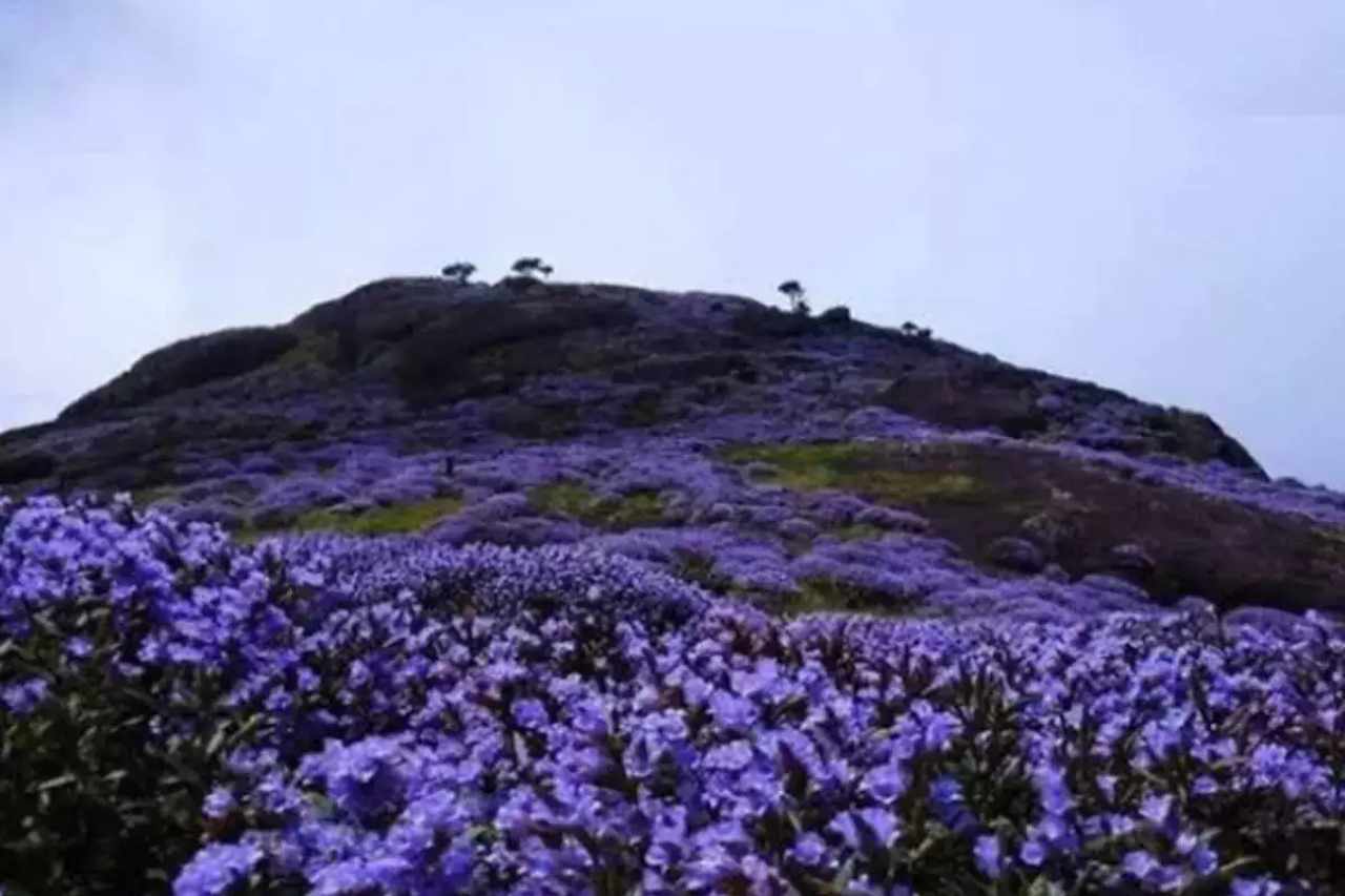 chikmagalur