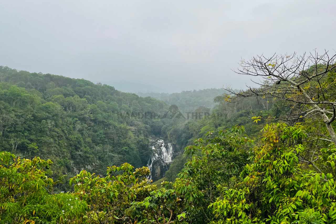 mudumalai