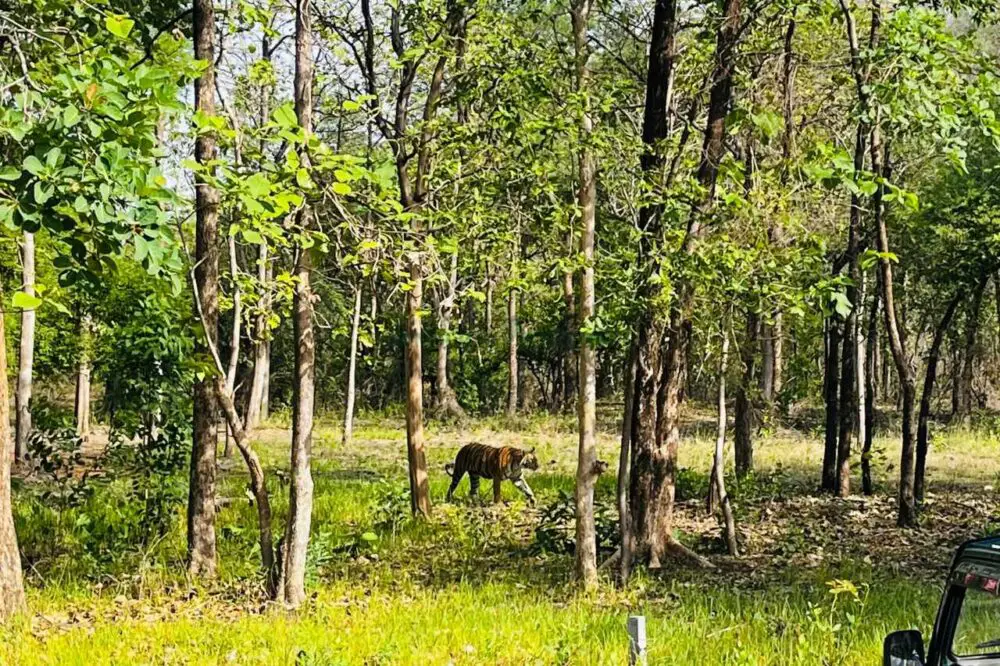 tipeshwar wildlife sanctuary