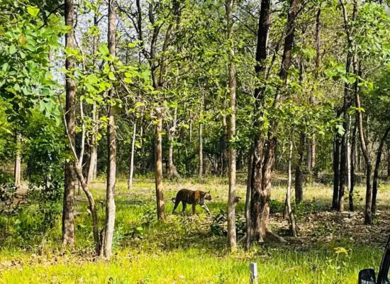 tipeshwar wildlife sanctuary