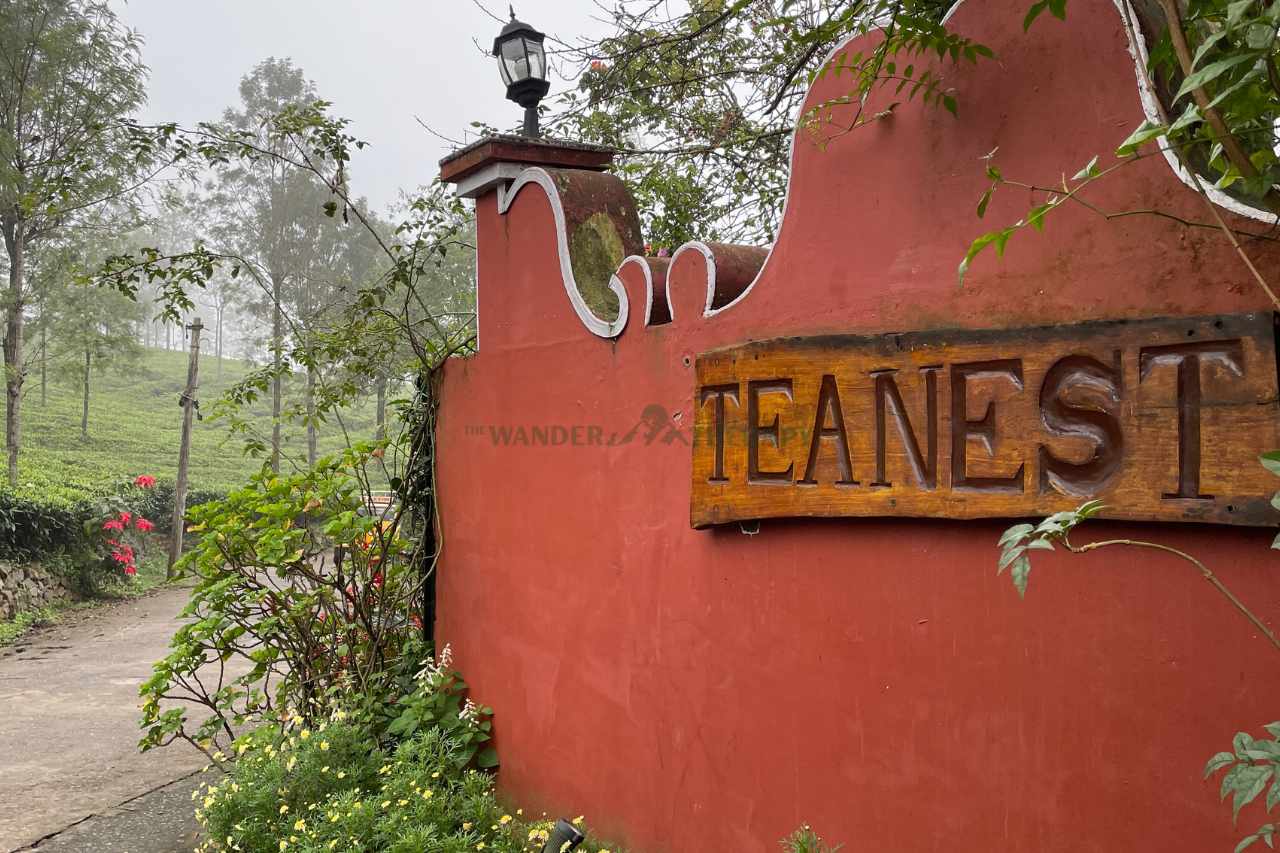 teanest coonoor