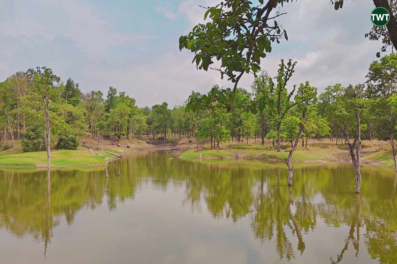 pench national park MP