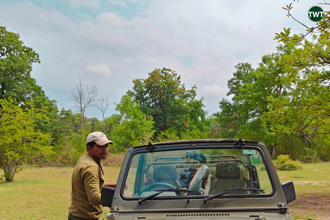 pench national park MP