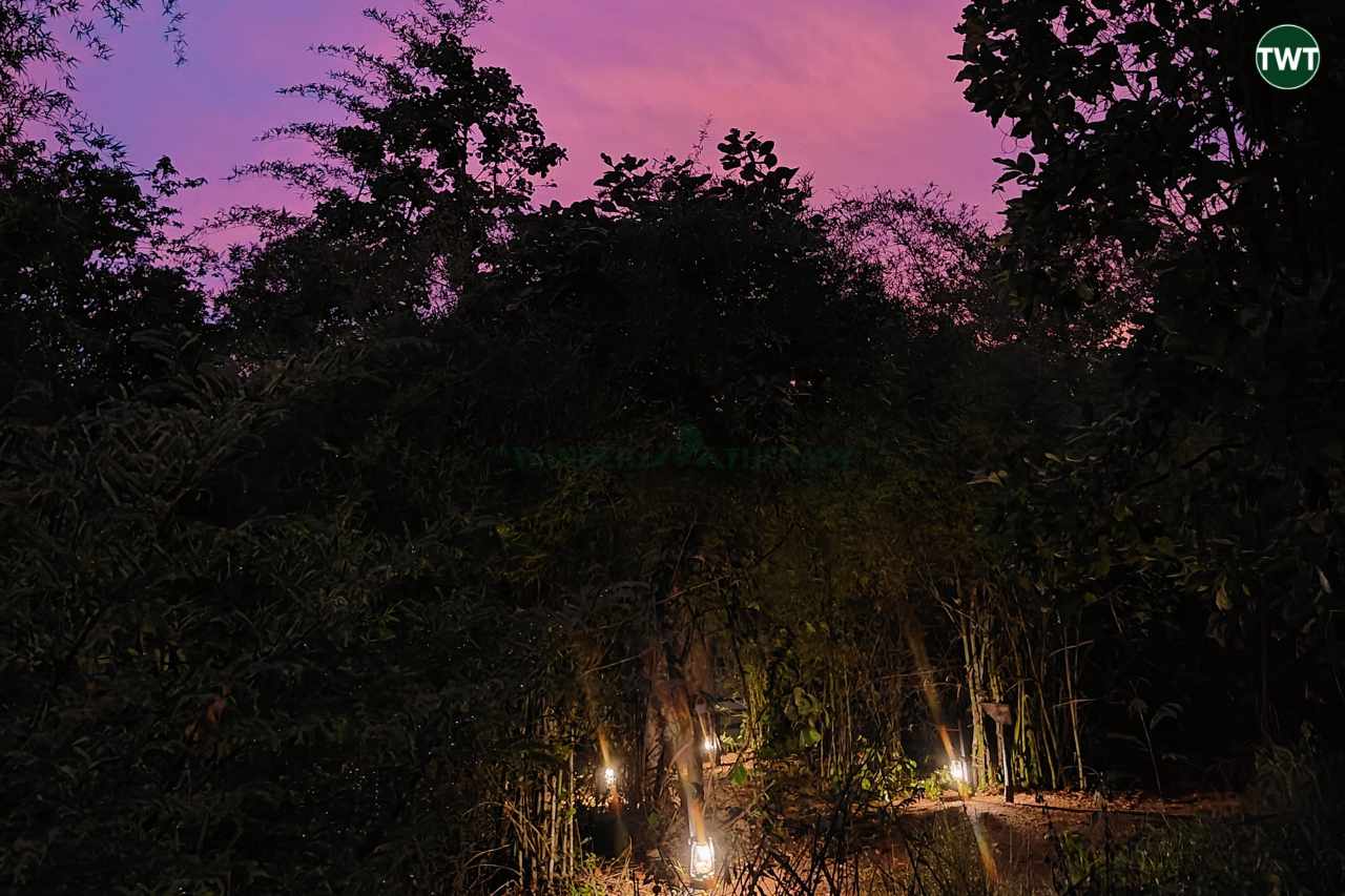 Pench Tree Lodge Night View 