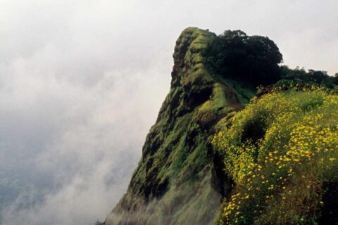Lonavala In 2024: 21 Most Gorgeous Tourist Spots To Visit In The Hill