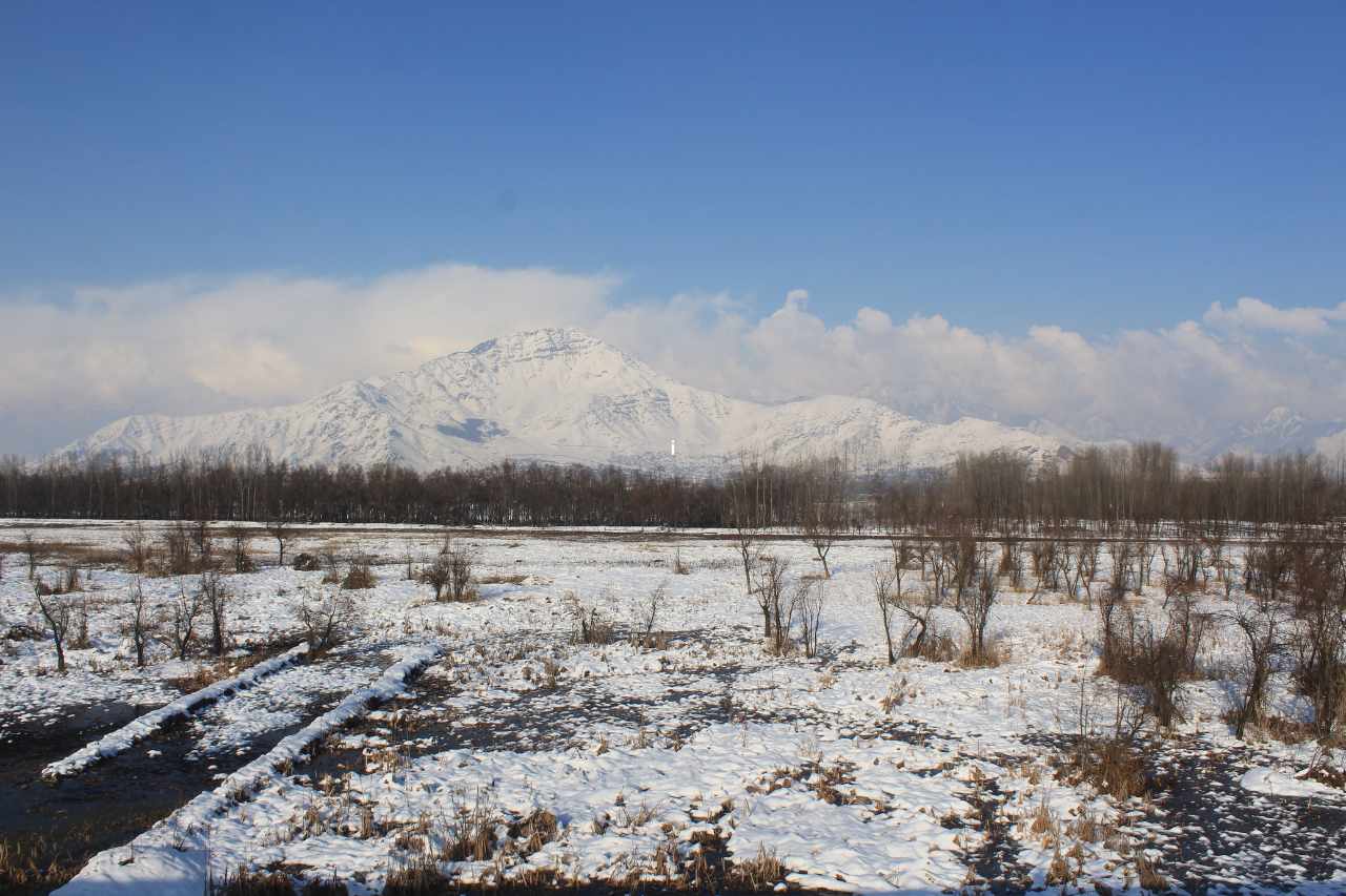 kashmir things to do awantipora