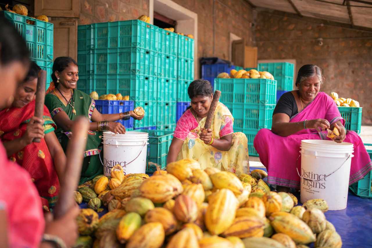 manam chocolate karkhana farm west godavari