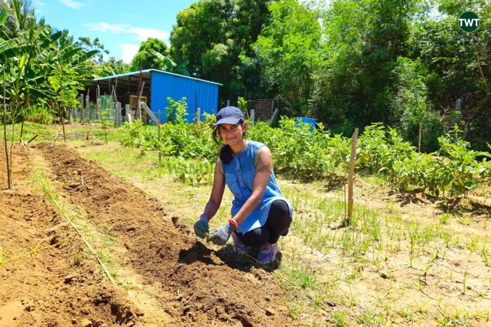 fun activities in Chennai organic farm visit Throughlocals