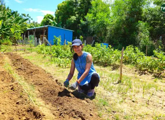 fun activities in Chennai organic farm visit Throughlocals