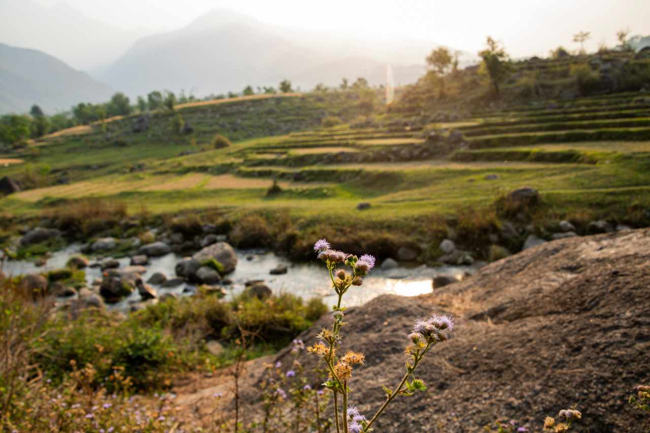 bir billing himachal things to do trek