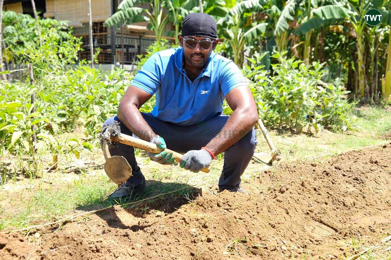 fun activities in Chennai learn organic farming 