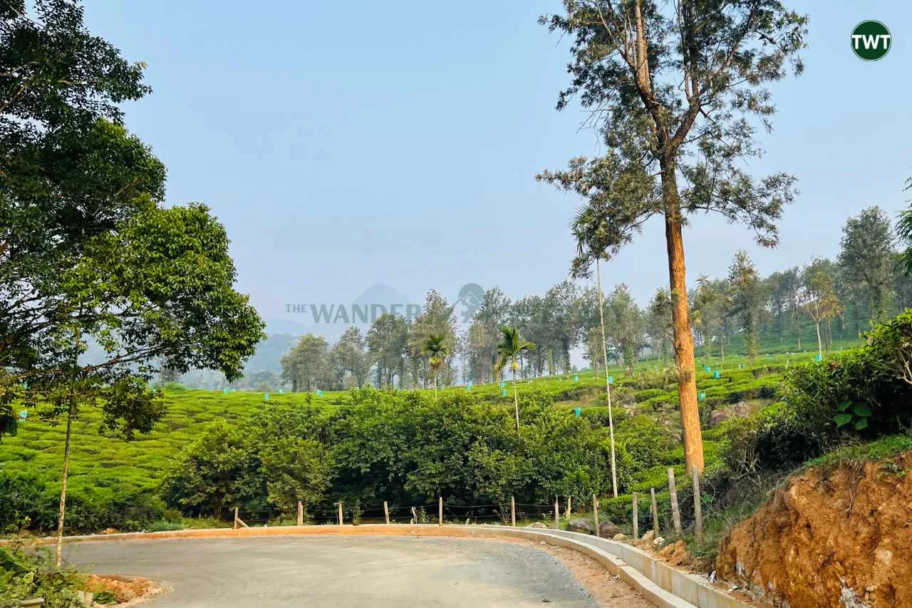 best places to visit in india-wayanad