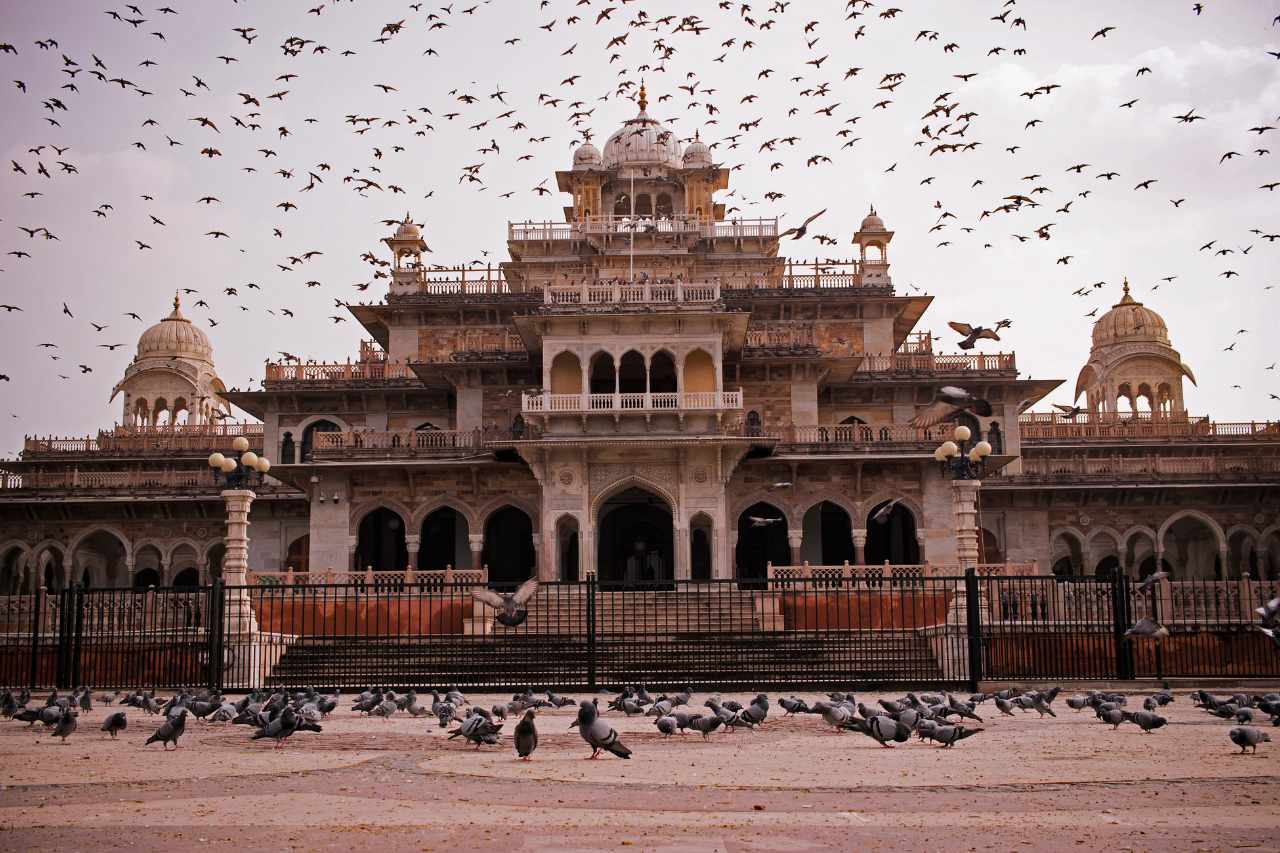 jaipur things to do the wander therapy