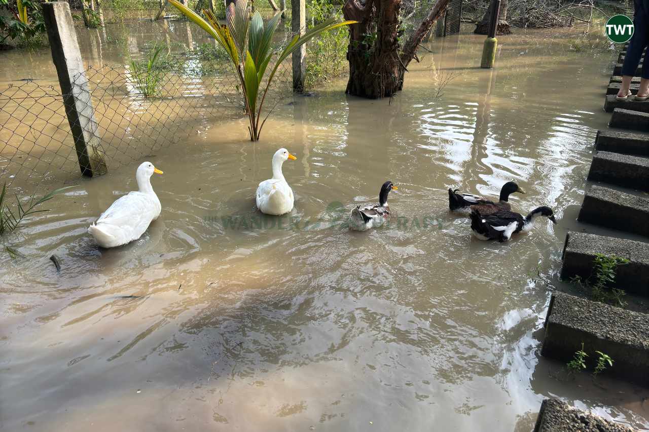 Organic Farmstay Near Chennai Jacob and Klooster