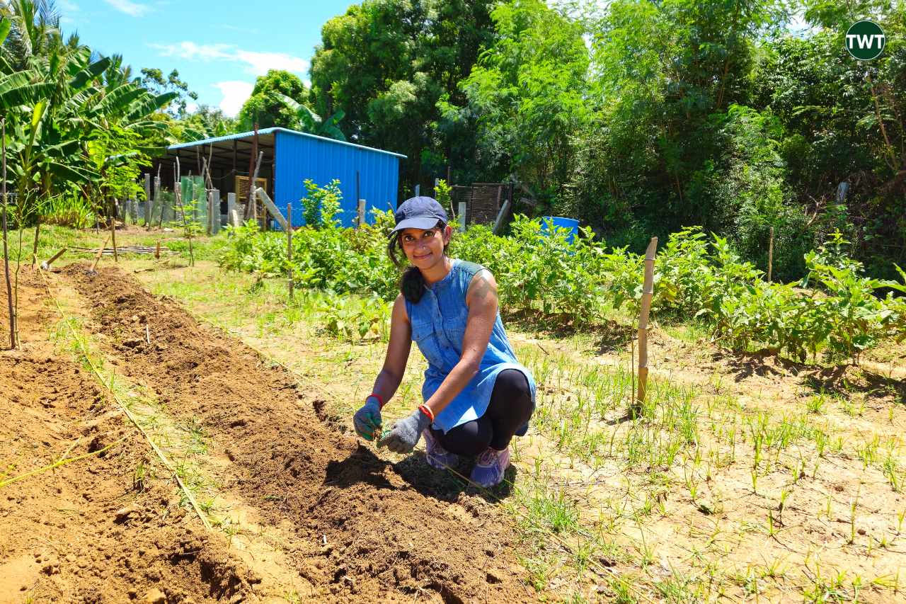 Organic Farmstay Near Chennai Jacob and Klooster