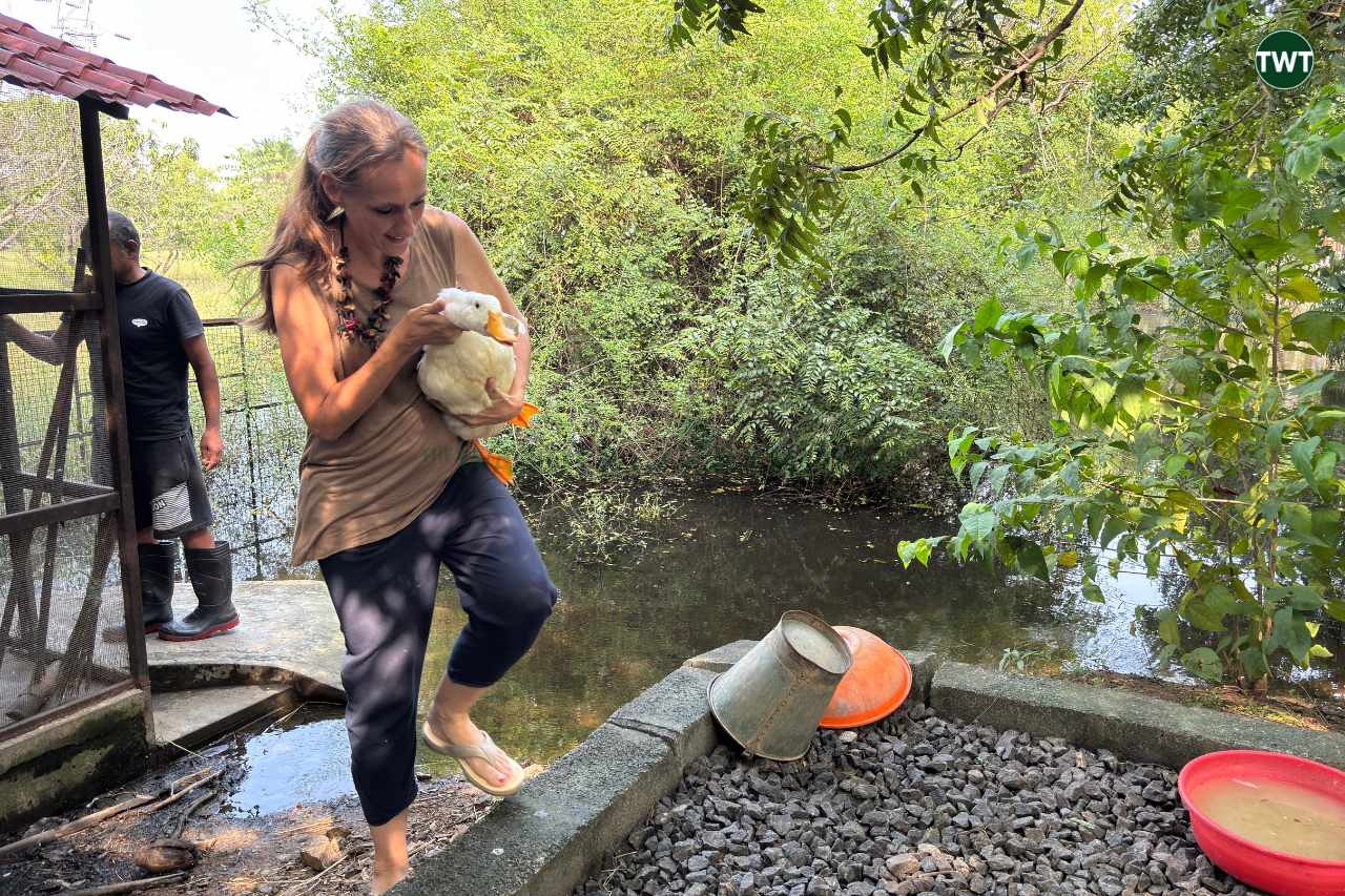 farm stay near chennai jacob & klooster