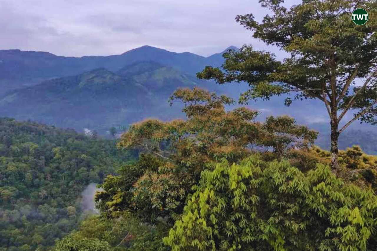 munnar.south indian hill stations