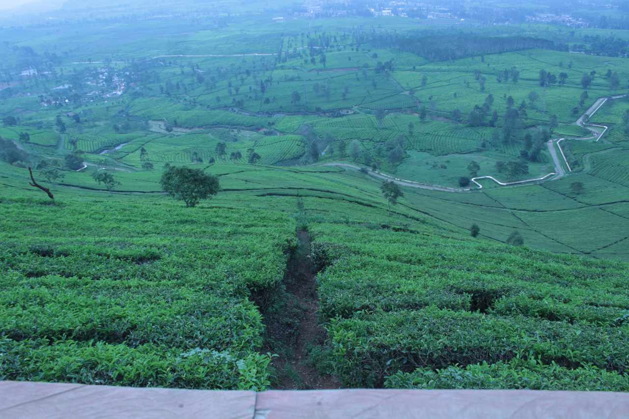 wayanad.south india hill stations