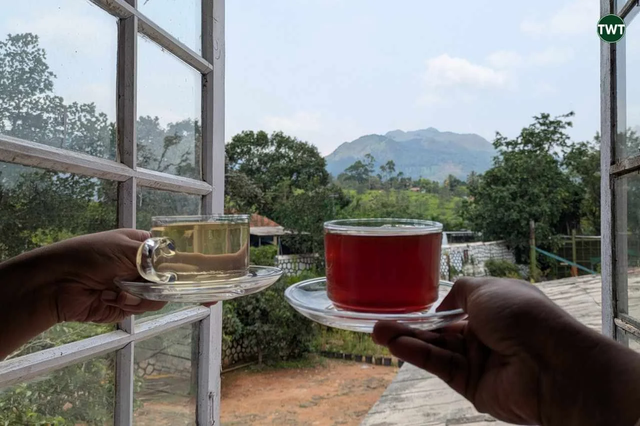 wayanad-travel-best-places-to-visit