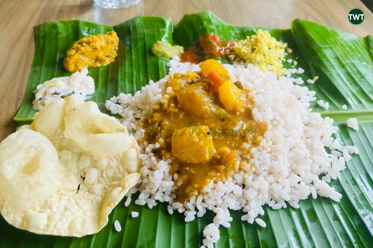 wayanad travel guide 
