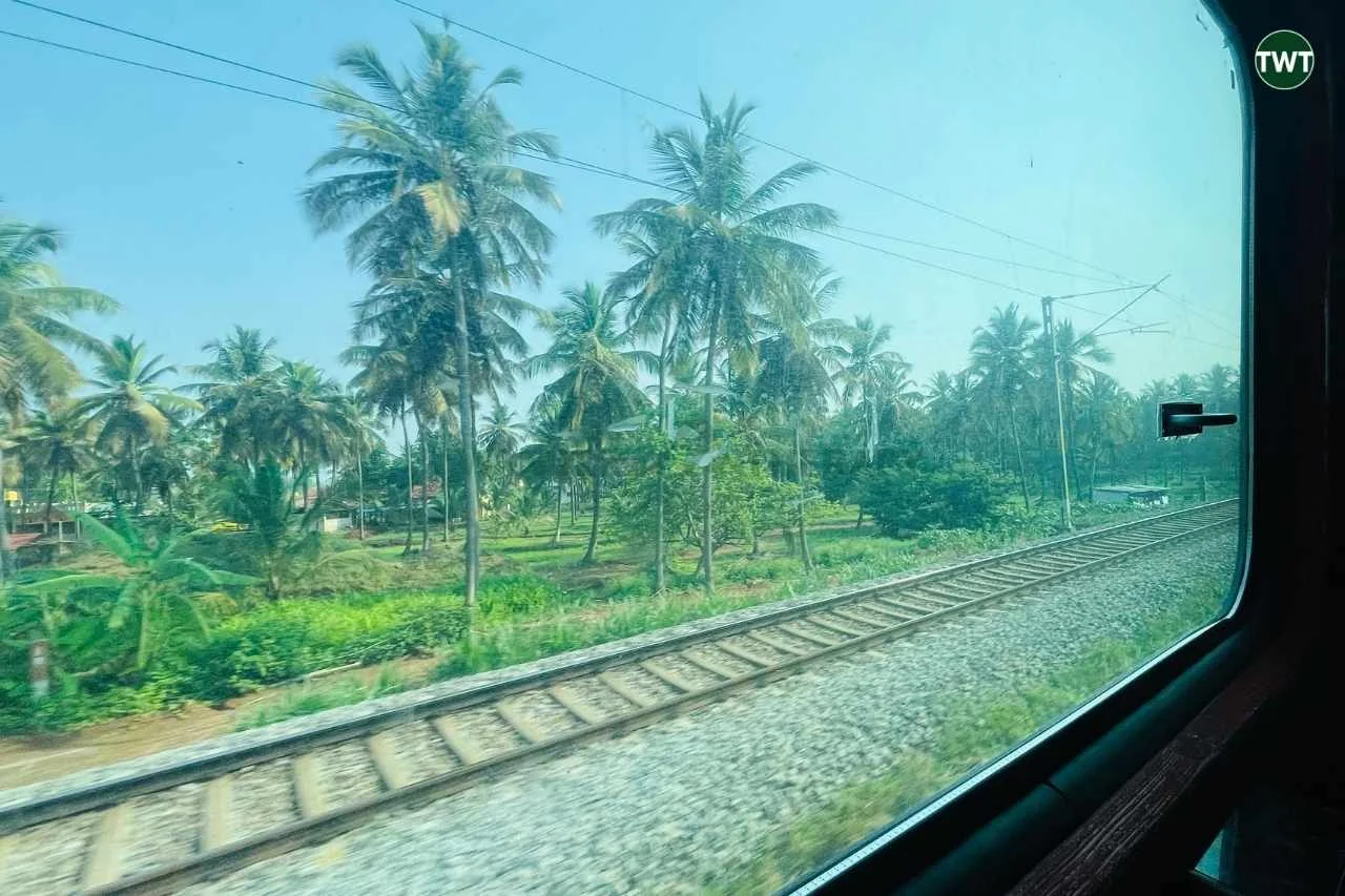 wayanad-travel-best-places-to-visit