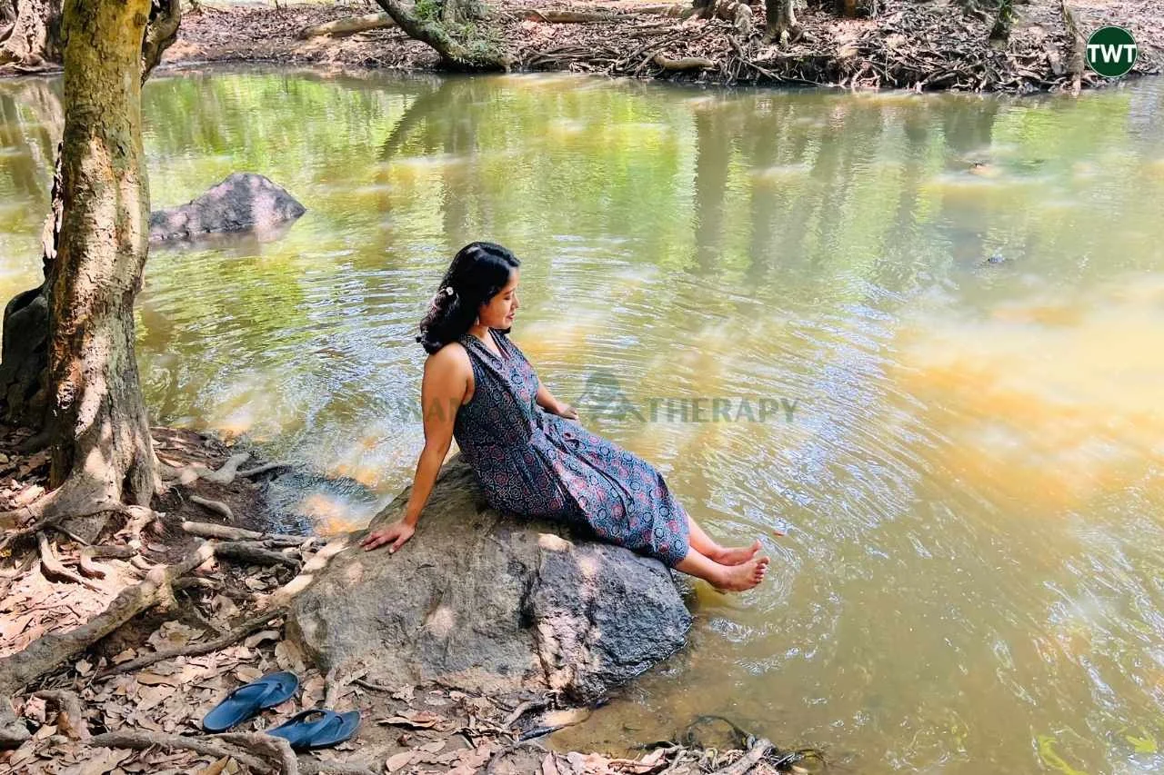 wayanad-travel-best-places-to-visit