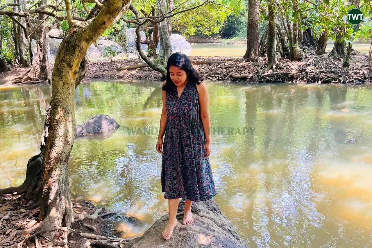 wayanad-travel-best-places-to-visit