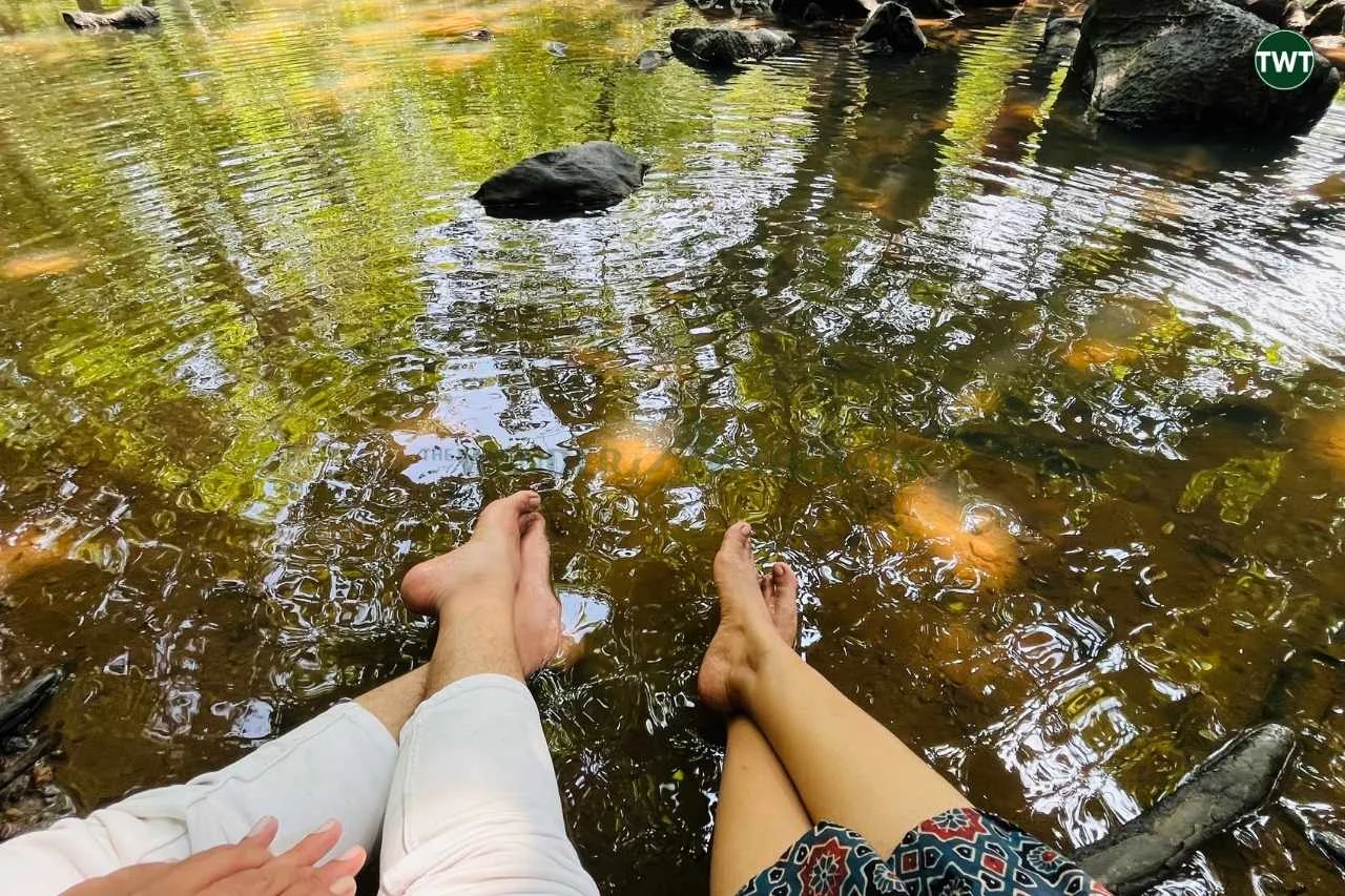 wayanad-travel-best-places-to-visit