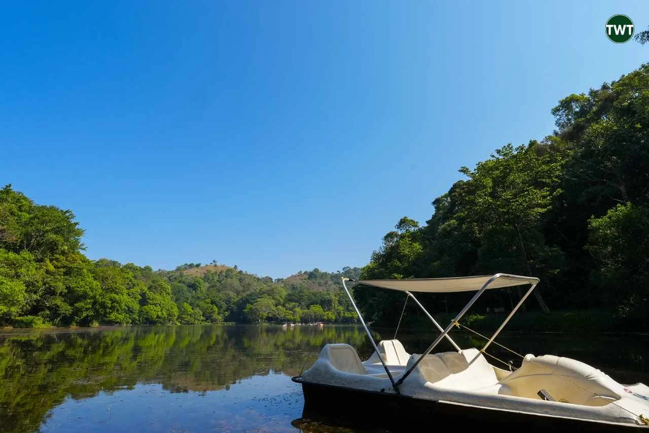 wayanad-travel-best-places-to-visit
