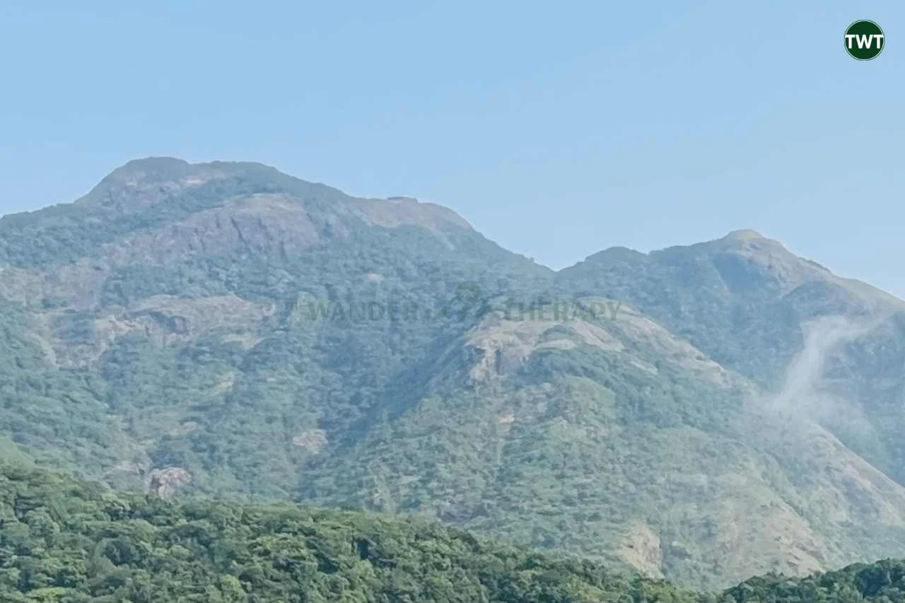 wayanad travel guide chembra peak